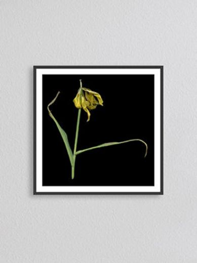 Picture of Artwork Yellow