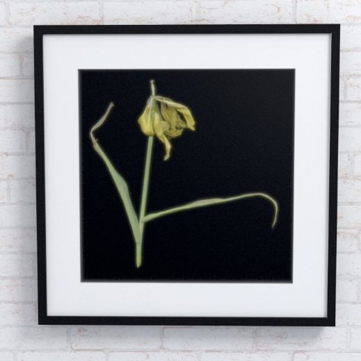 Picture of Artwork Yellow