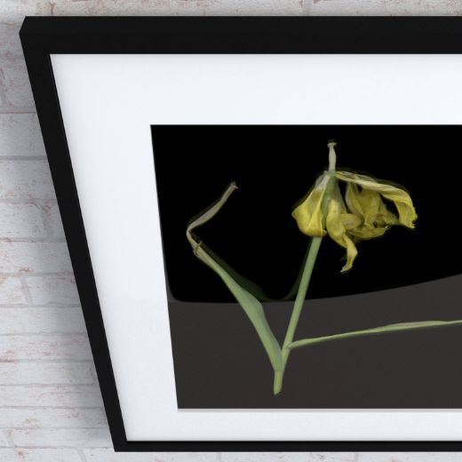 Picture of Artwork Yellow
