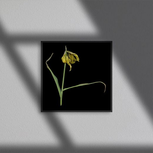 Picture of Artwork Yellow