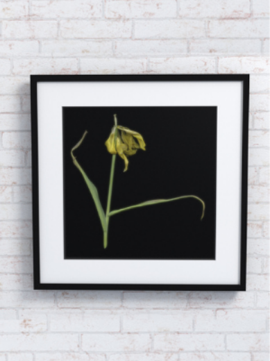 Picture of Artwork Yellow