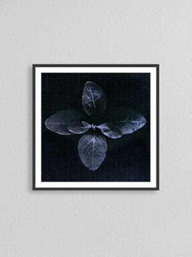 Picture of Artwork Bloom