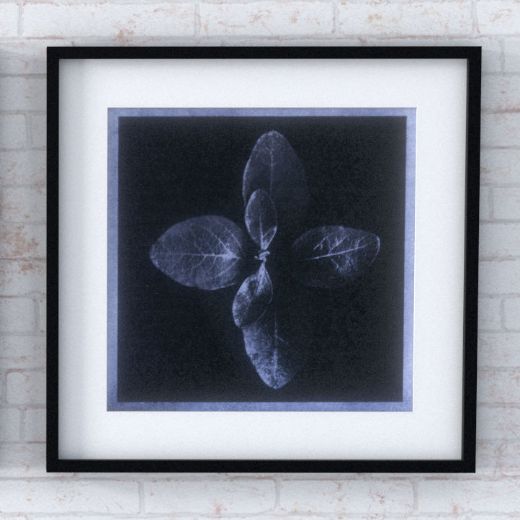 Picture of Artwork Bloom