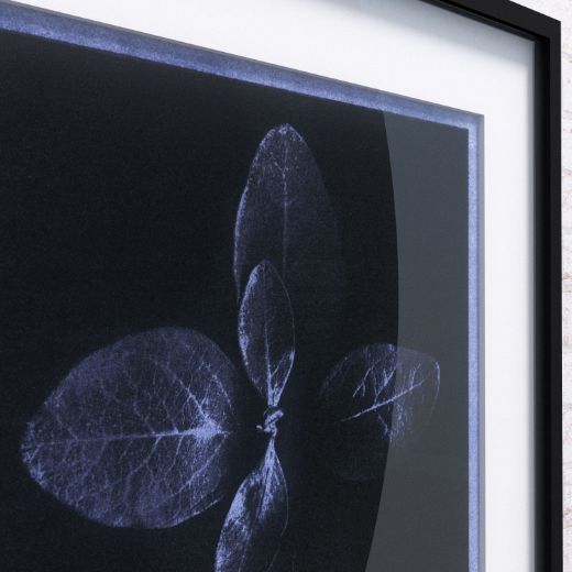 Picture of Artwork Bloom