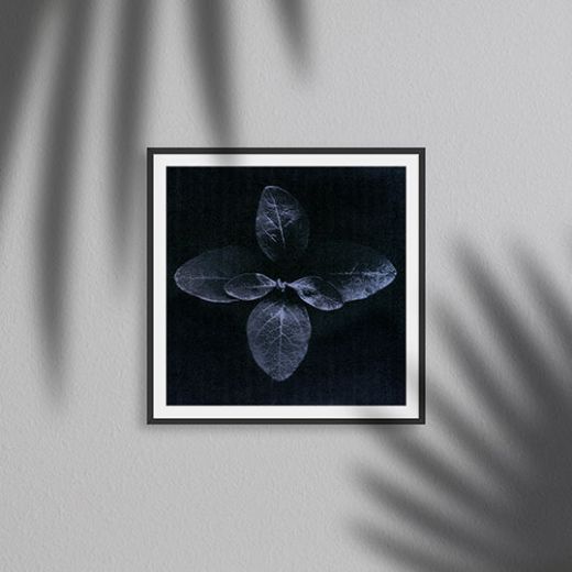 Picture of Artwork Bloom