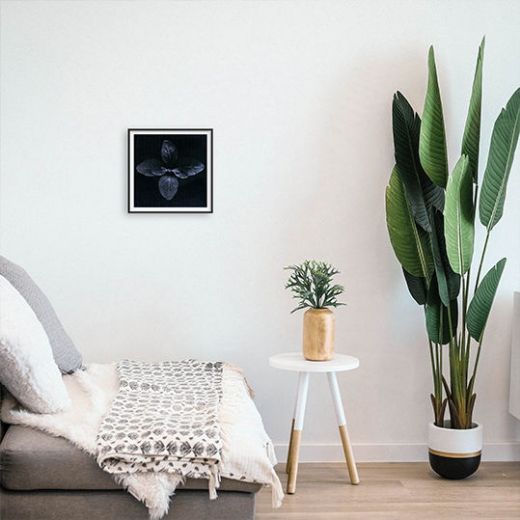 Picture of Artwork Bloom