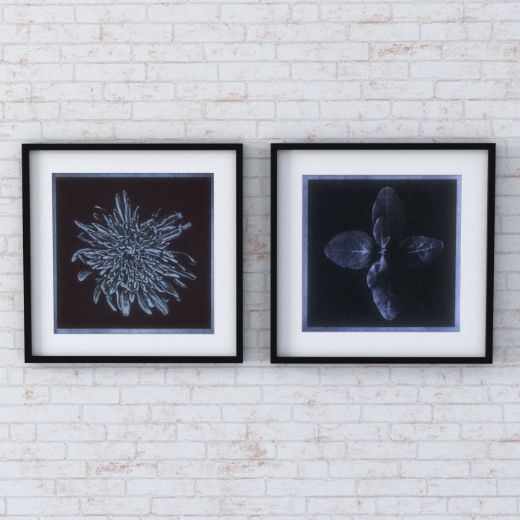 Picture of Artwork Bloom