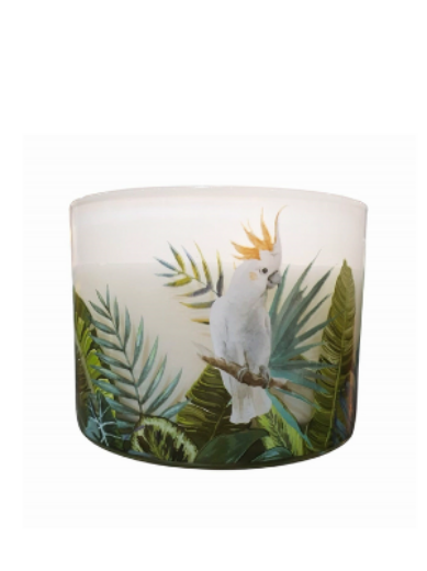 Picture of Secret Forest Scented Candle