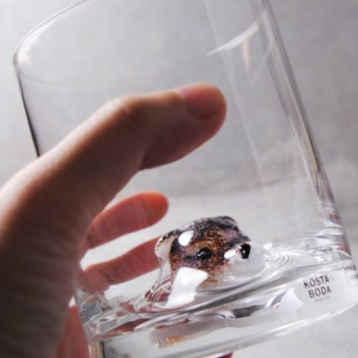 Picture of Chateau Tumbler 380 ml