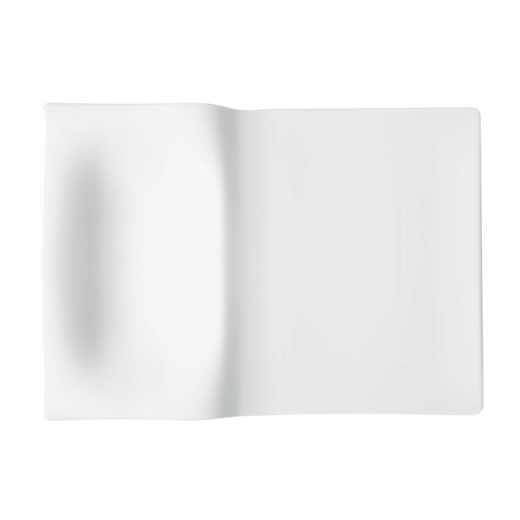 Picture of Step Plate