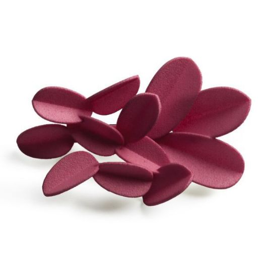 Segė "Leaves" paveikslėlis