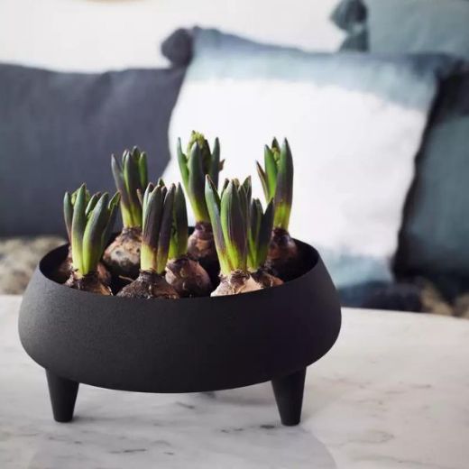 Picture of Geliu vazonas „Iron Planter"