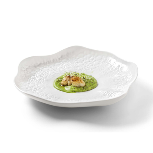 Serviravimo lėkštė  „Coral set Chefs' Collection" paveikslėlis