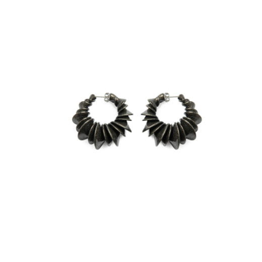Picture of Bailong Earrings 1