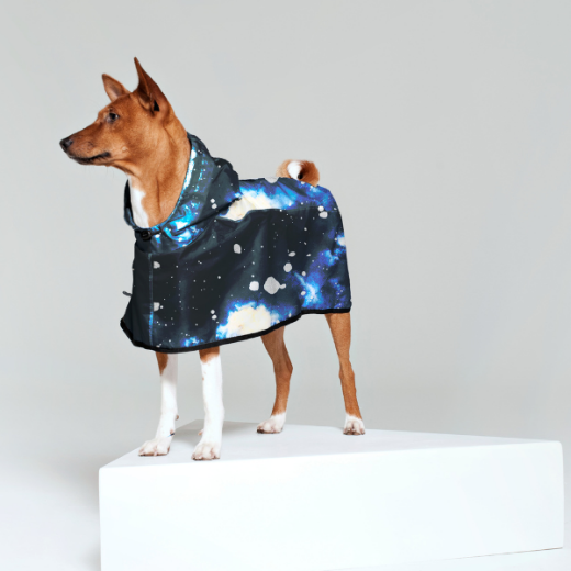 Picture of STARRY NIGHT  Dog Poncho