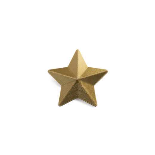 Picture of Hopestar Brooch L
